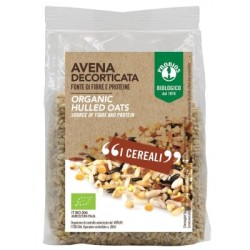 Avena Decorticata